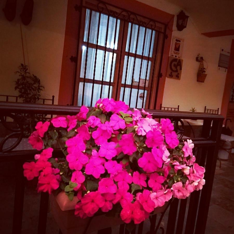 Casa De Aldea La Pescal Guest House Ngoại thất bức ảnh